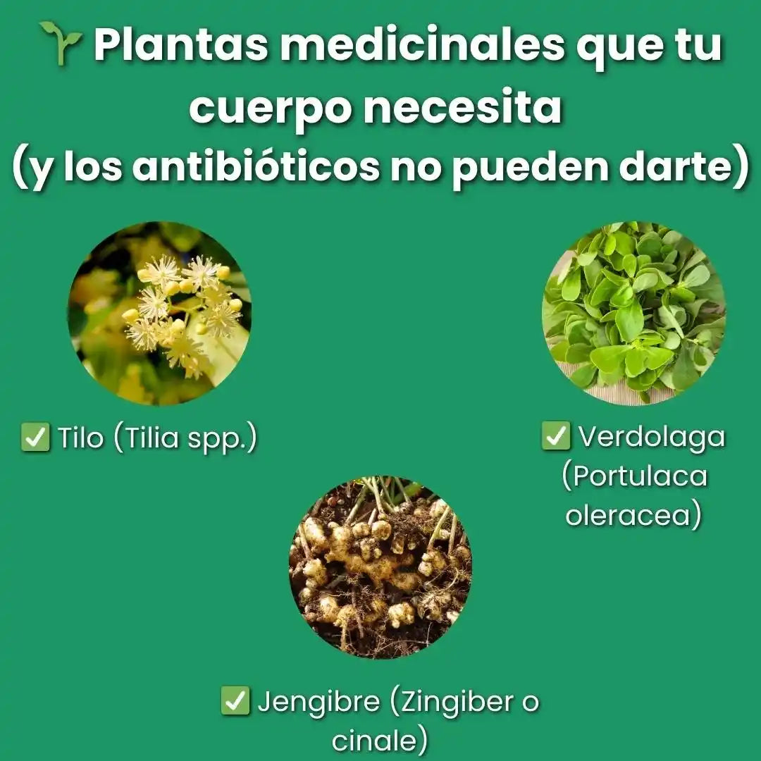 Viralsem™ Escudo Antiviral