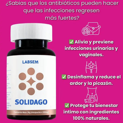 Solidago™