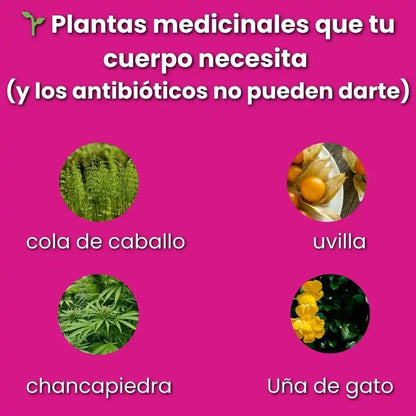 Solidago™